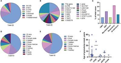 Rubella Virus Infected Macrophages and Neutrophils Define Patterns of Granulomatous Inflammation in Inborn and Acquired Errors of Immunity